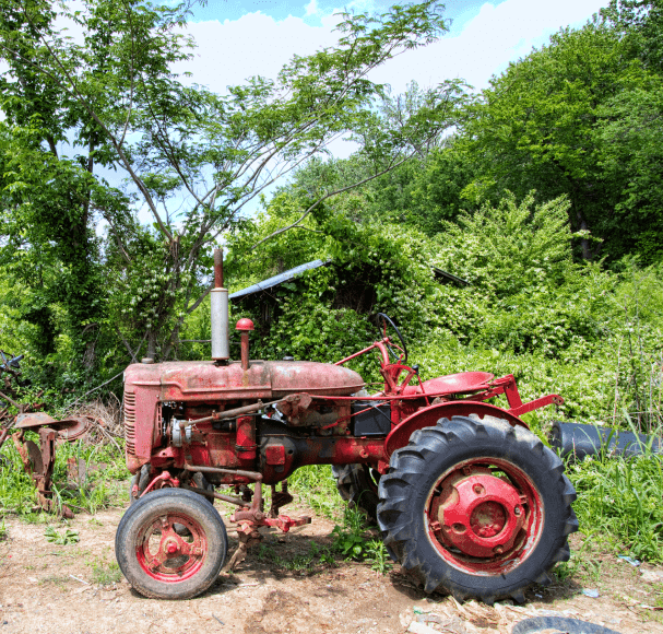 Service Image